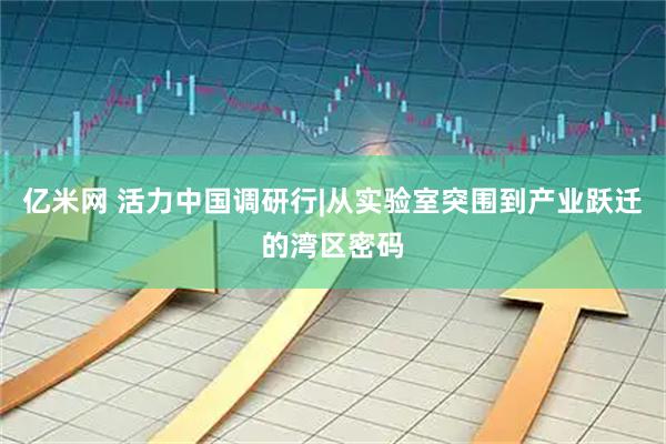 亿米网 活力中国调研行|从实验室突围到产业跃迁的湾区密码